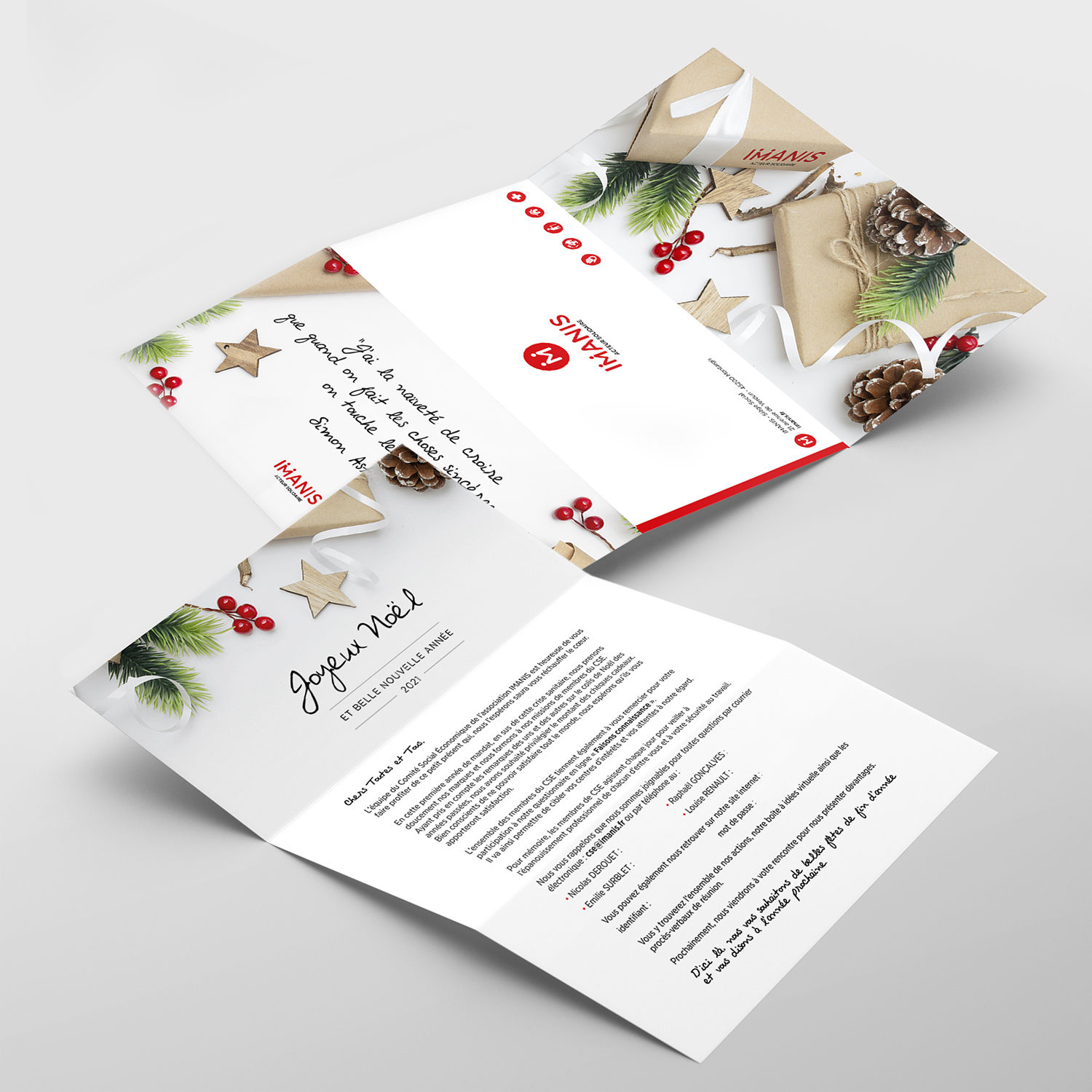 newsletter imanis